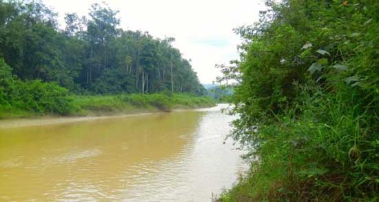 File photo: The Nawuni river in Northern Ghana. 
