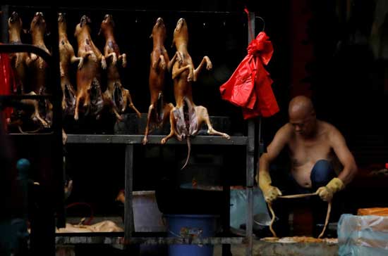 Butchered dogs are displayed for sale at a stall inside a meat market during the local dog meat festival in Yulin, Guangxi Zhuang Autonomous Region, China June 21, 2018. REUTERS/Tyrone Siu