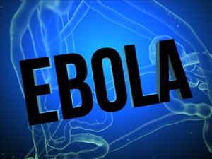 British Nurse Treated for Ebola Now 'Critically Ill'
