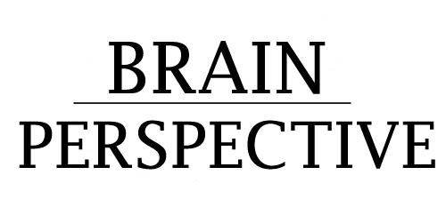  Brain Perspective